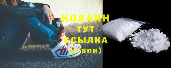 тгк Богородицк