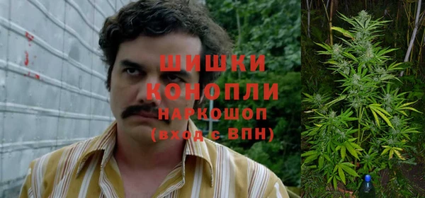 тгк Богородицк