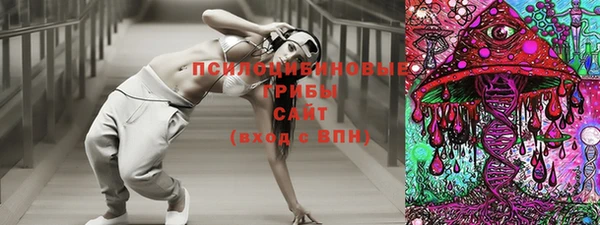 тгк Богородицк
