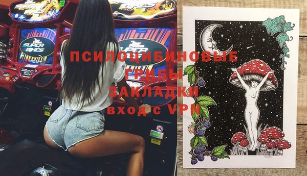 бошки Богородск