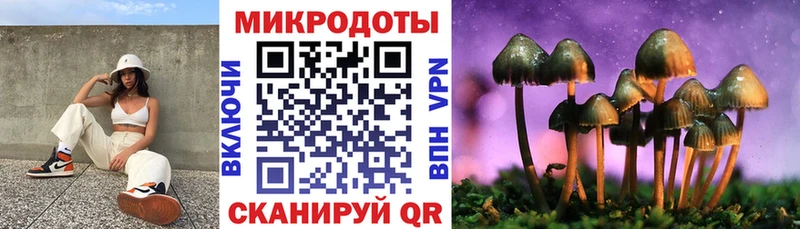 Купить закладки  Сим  Псилоцибиновые грибы мицелий 